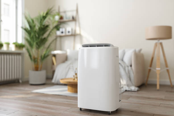 Best Ductless HVAC repair  in Kingsley, IA